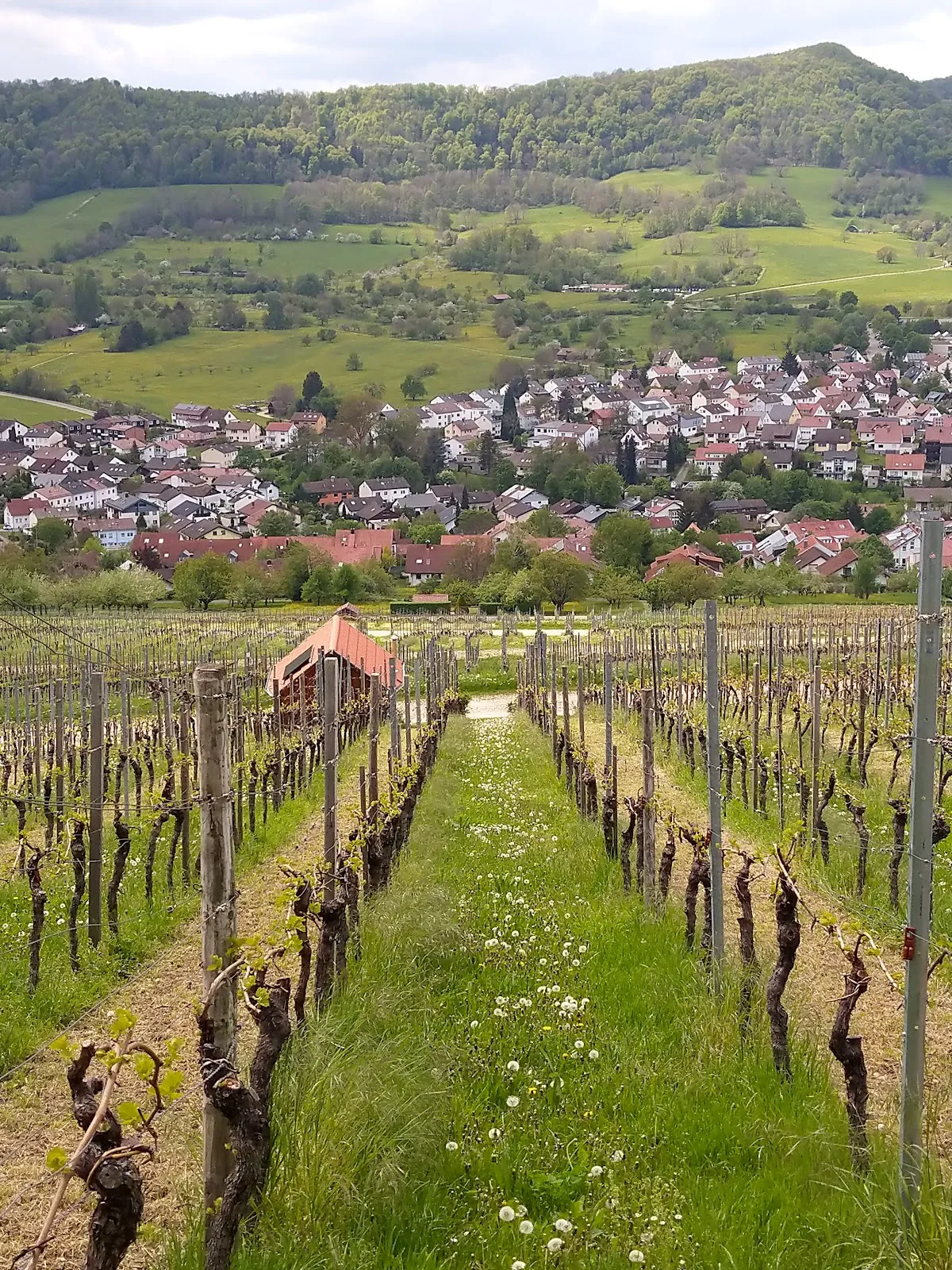 Ландшафт природного заповедника Нойффенер Хайде