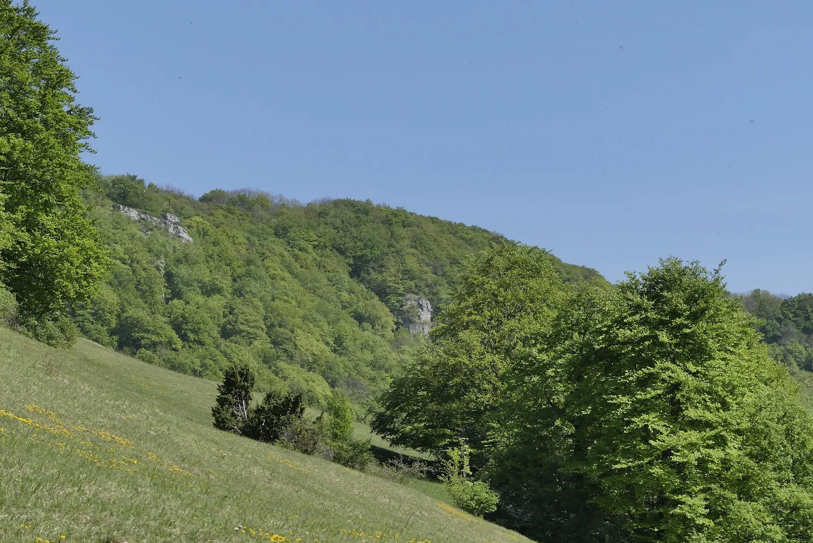 Ландшафт природного заповедника Нойффенер Хайде