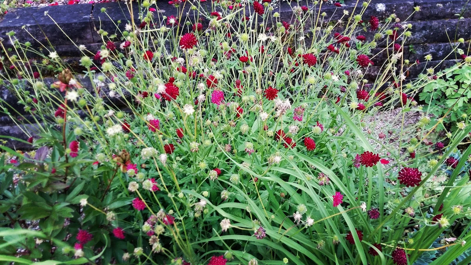 Новый мавзолей в замке Кранихштайн, Дармштадт, Германия