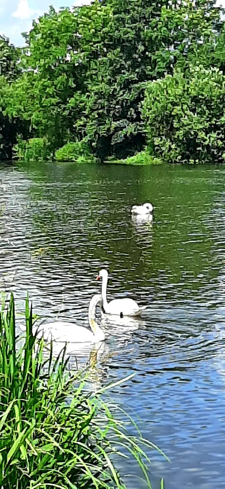 Фасад Оберкирхе (Главная церковь) в Целле, Германия