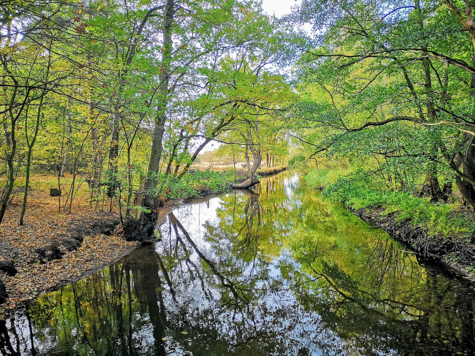 Фасад Оберкирхе (Главная церковь) в Целле, Германия