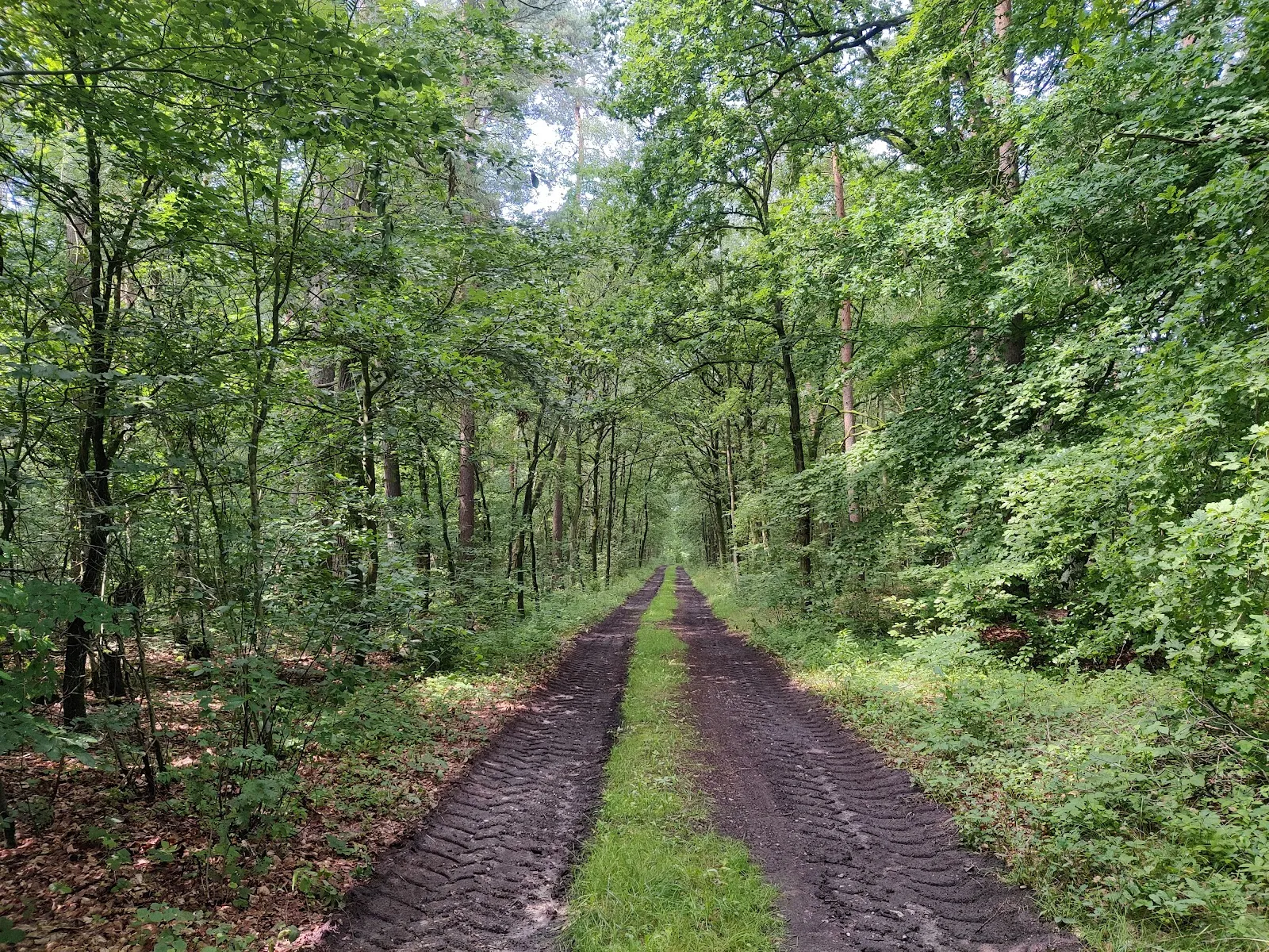 Фасад Оберкирхе (Главная церковь) в Целле, Германия