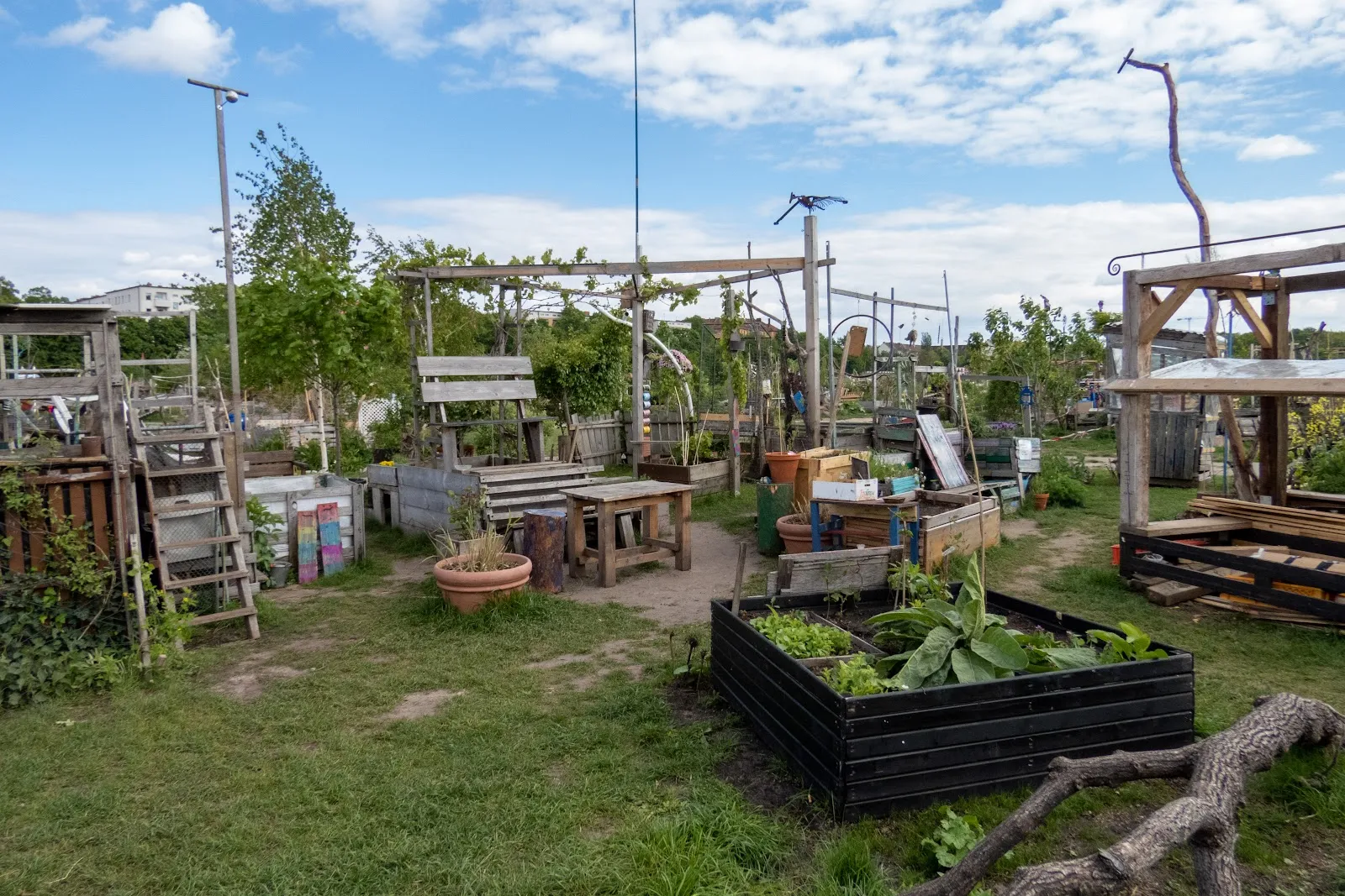 Общественный сад Аллменде-Контор