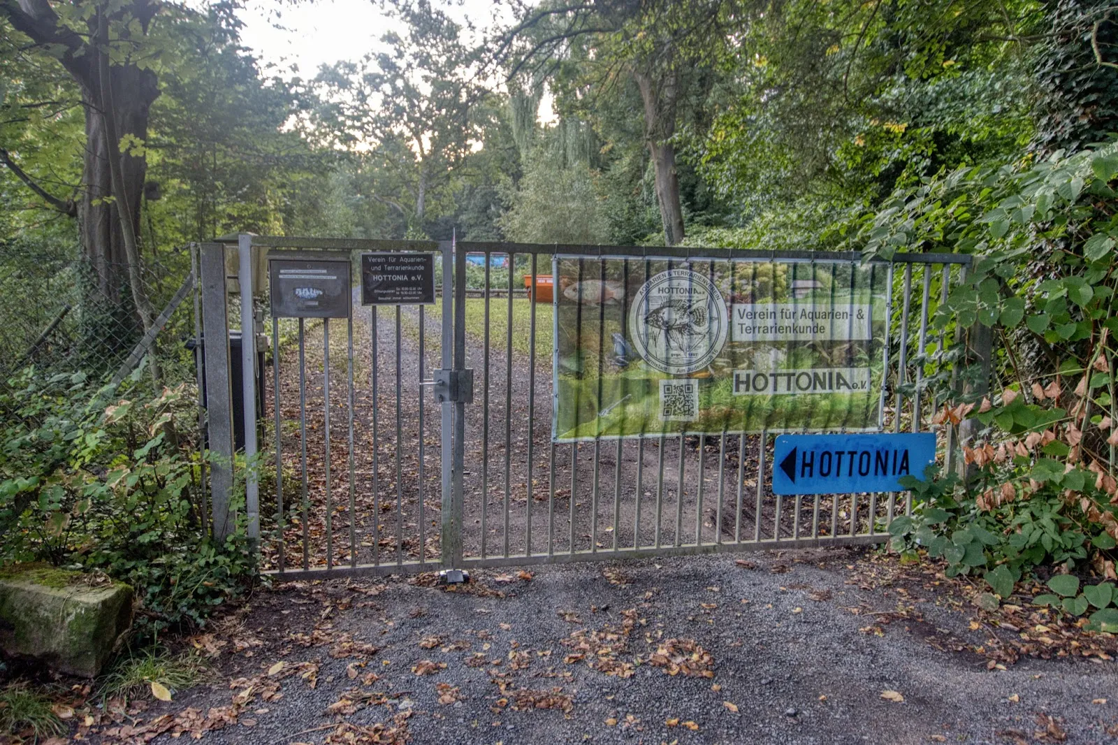 Общество любителей аквариумной и террариумной культуры Хоттония