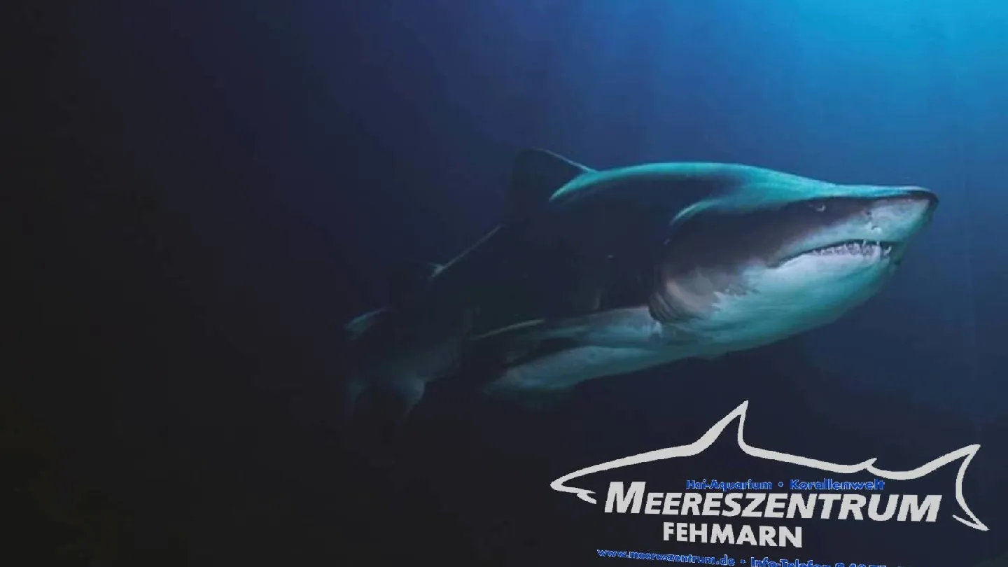 Океанариум Фемарн