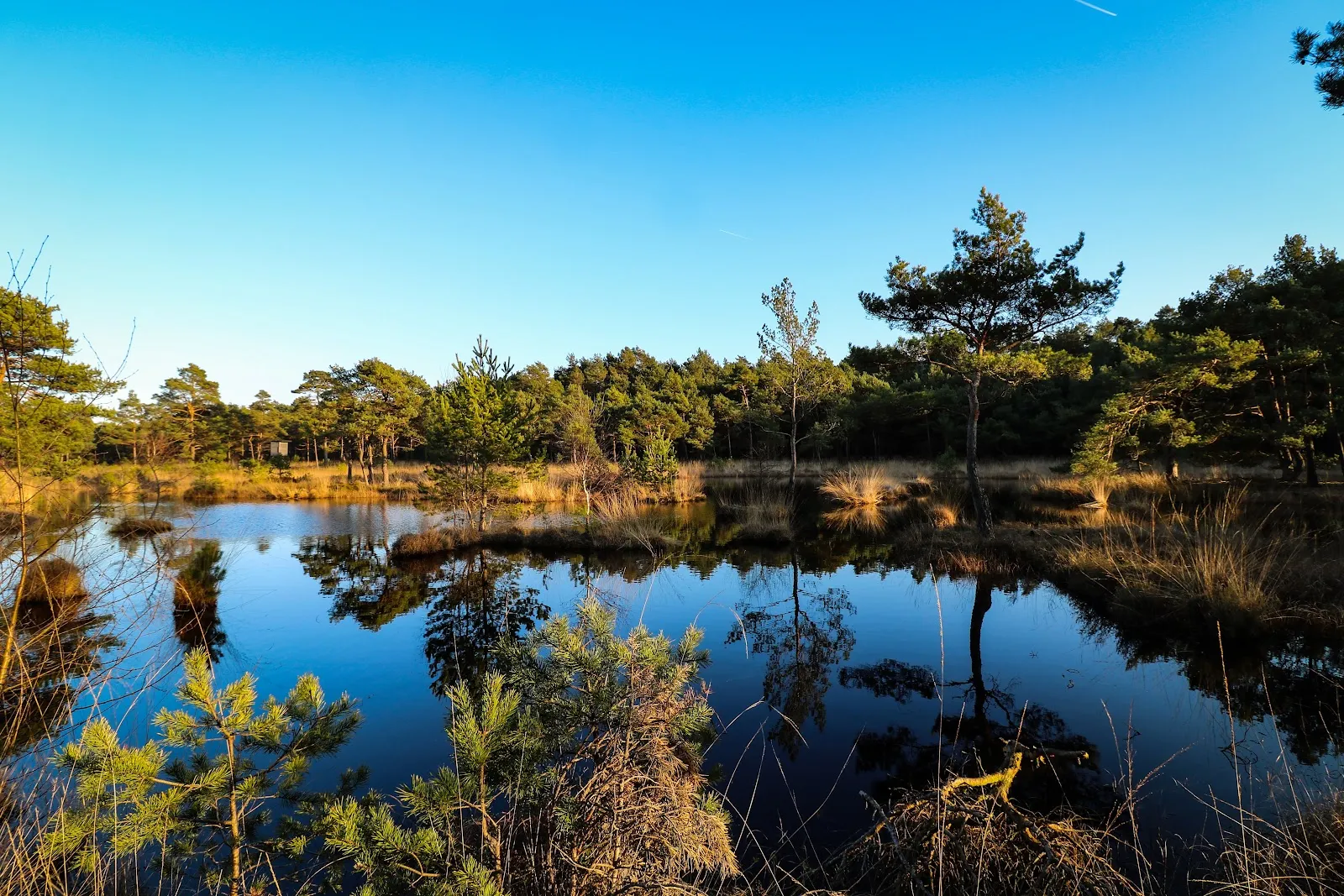 Оттернхагенер Мор
