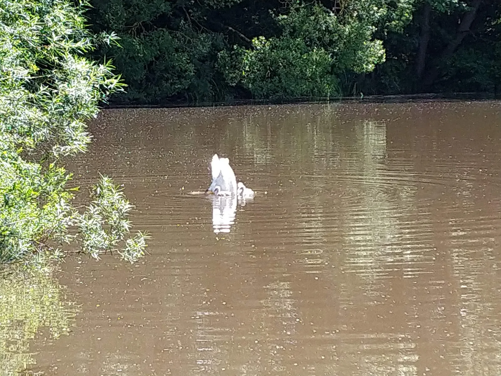 Вид на озеро Антрифт с зелёными берегами и голубой водой