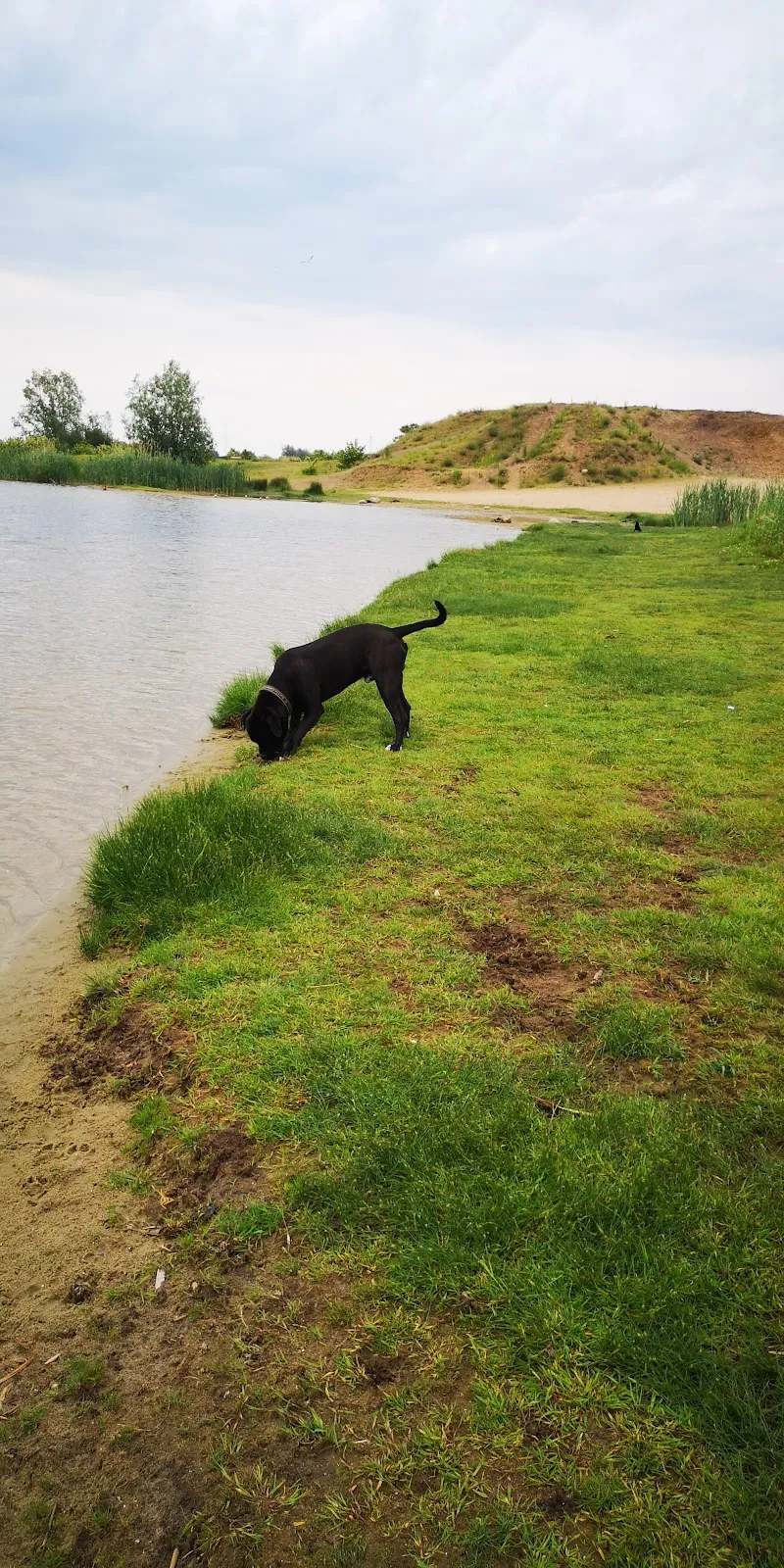 Вид на озеро Беттерсбраак с окружающим садом скульптур