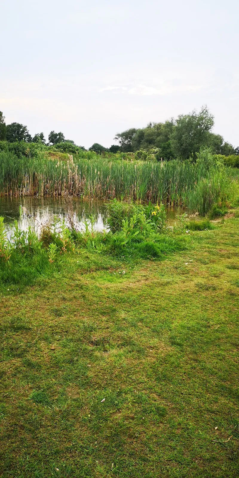Вид на озеро Беттерсбраак с окружающим садом скульптур