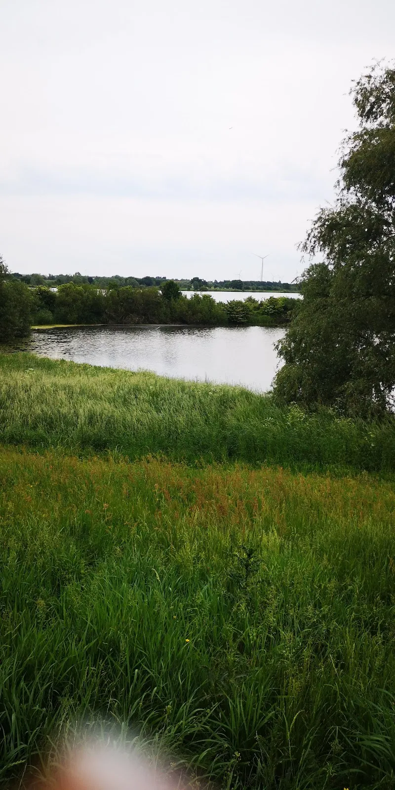 Вид на озеро Беттерсбраак с окружающим садом скульптур