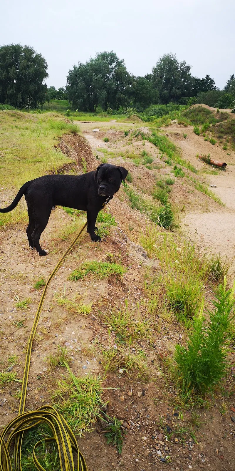 Вид на озеро Беттерсбраак с окружающим садом скульптур