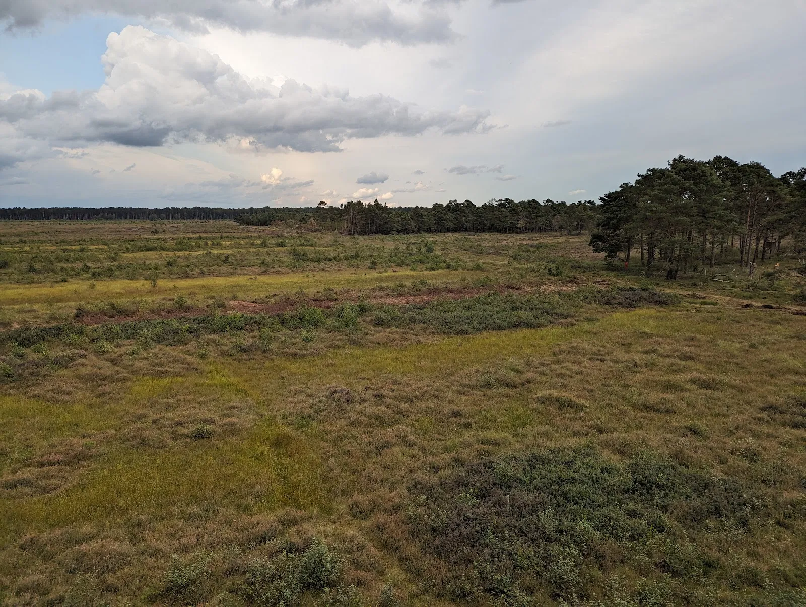 Озеро Биссендорф