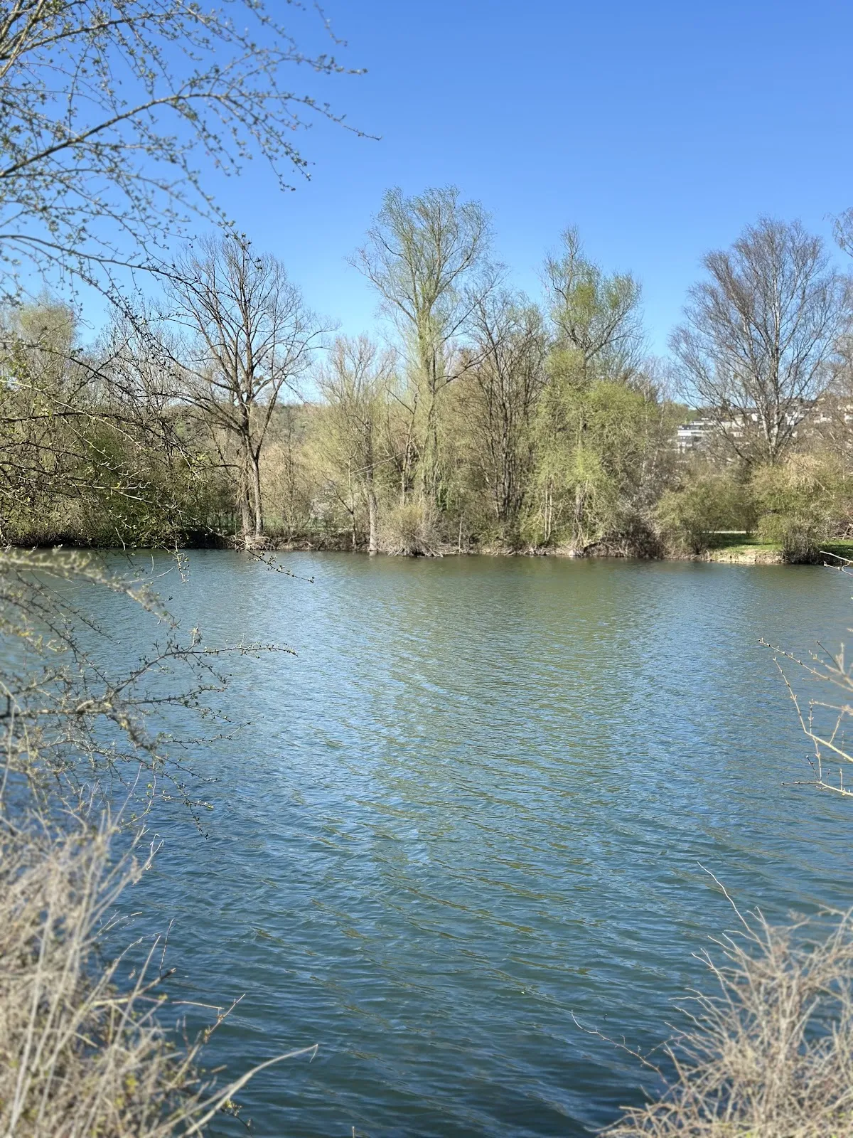 Вид на озеро Бойтванг в Нюртингене, Германия, с зелеными берегами и чистой водой.