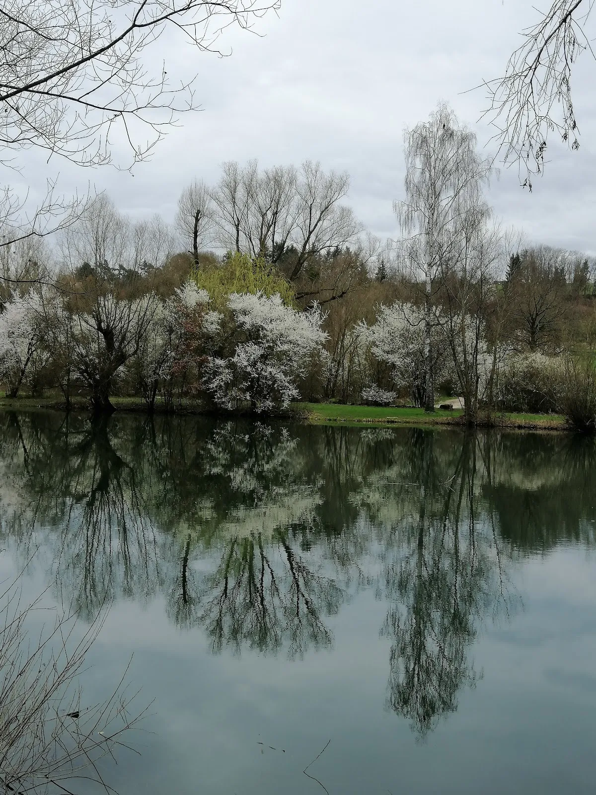 Вид на озеро Бойтванг в Нюртингене, Германия, с зелеными берегами и чистой водой.