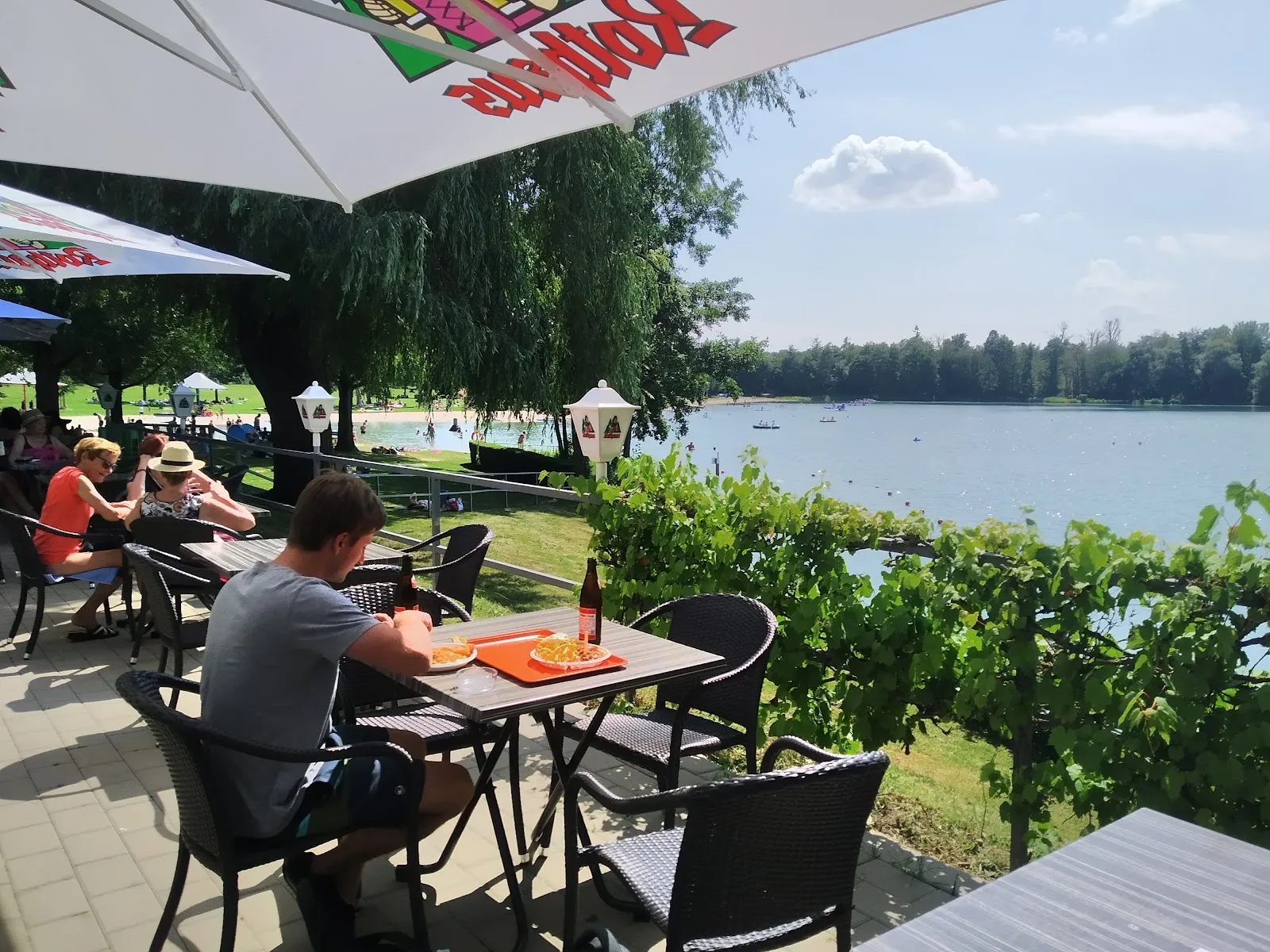 Вид на озеро Бухциг с зеленой травой и деревьями.