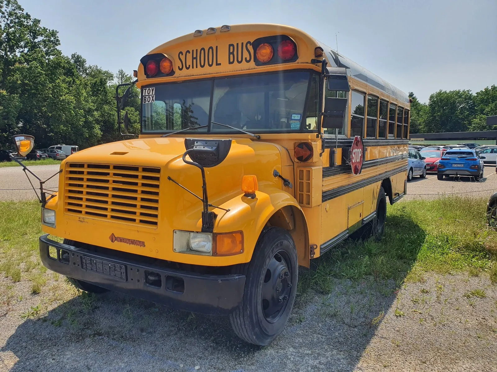 Вид на озеро Бухциг с зеленой травой и деревьями.