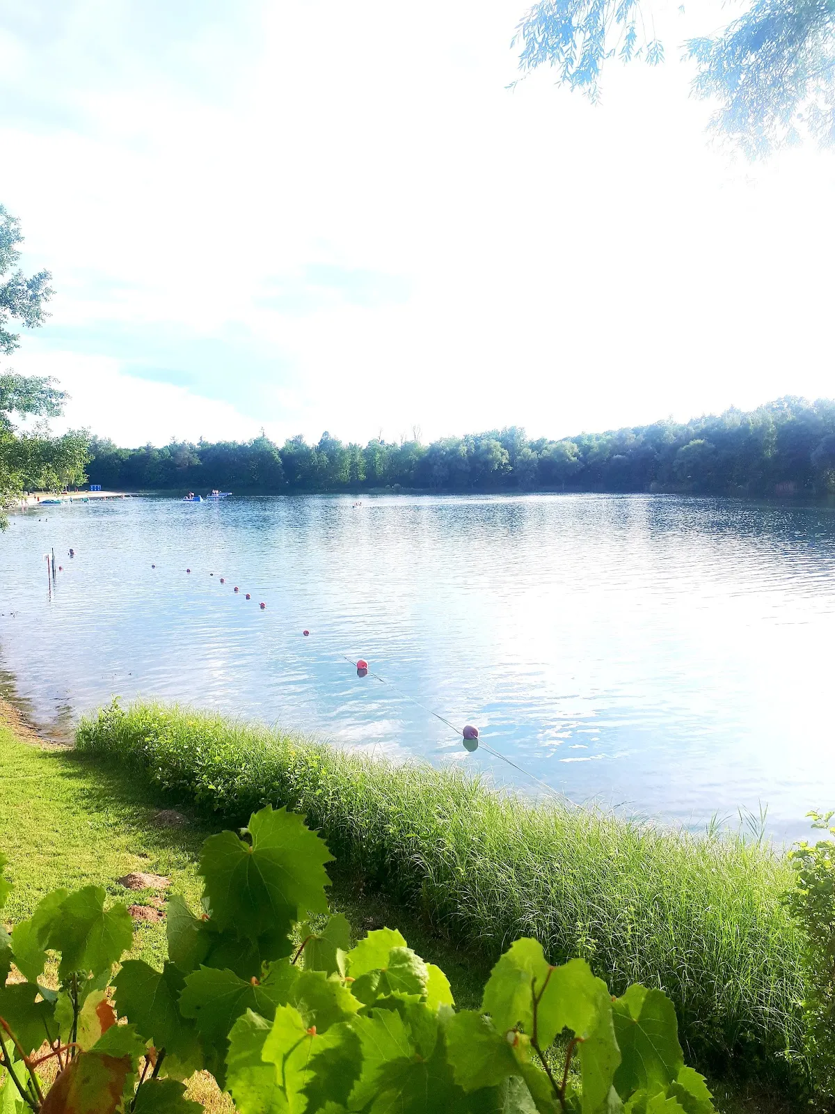 Вид на озеро Бухциг с зеленой травой и деревьями.