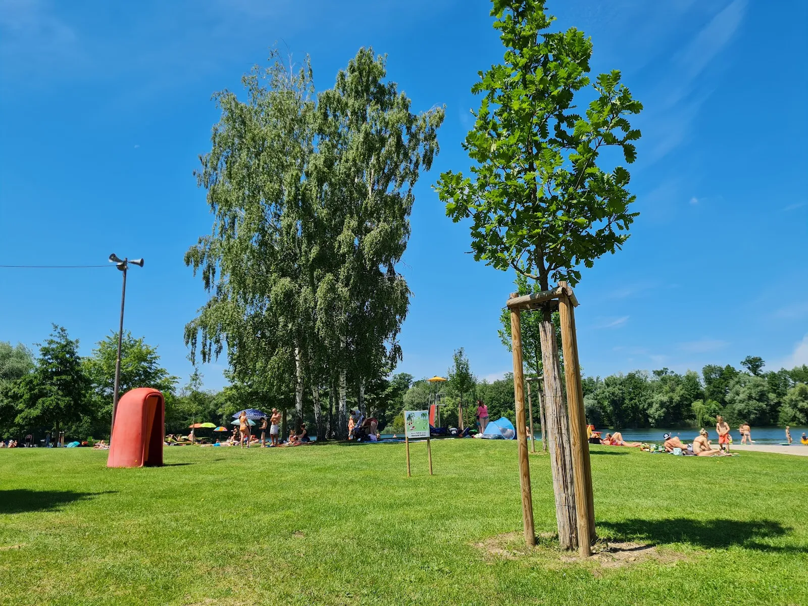 Вид на озеро Бухциг с зеленой травой и деревьями.