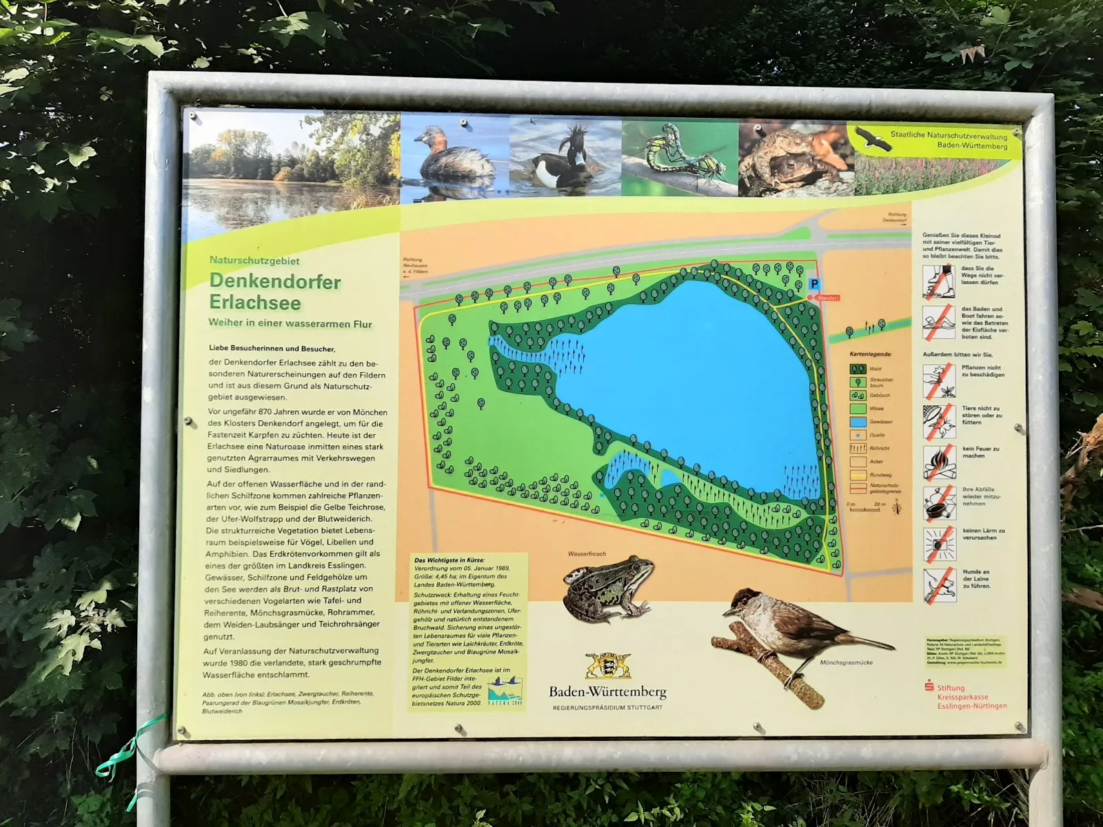 Вид на озеро Эрлахзе с деревьями по берегам