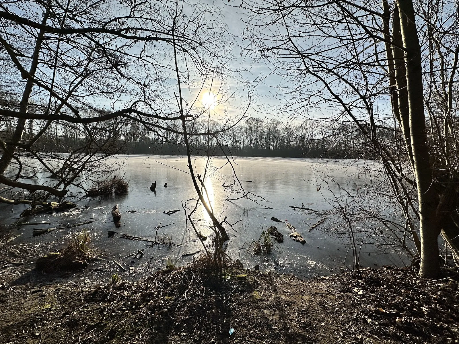 Вид на озеро Эрлахзе с деревьями по берегам