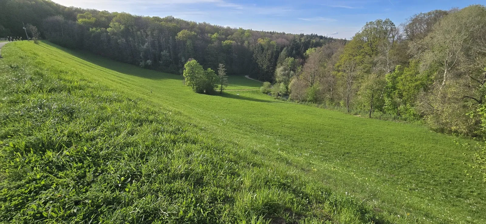 Вид на озеро Глемс с зелеными берегами, Германия