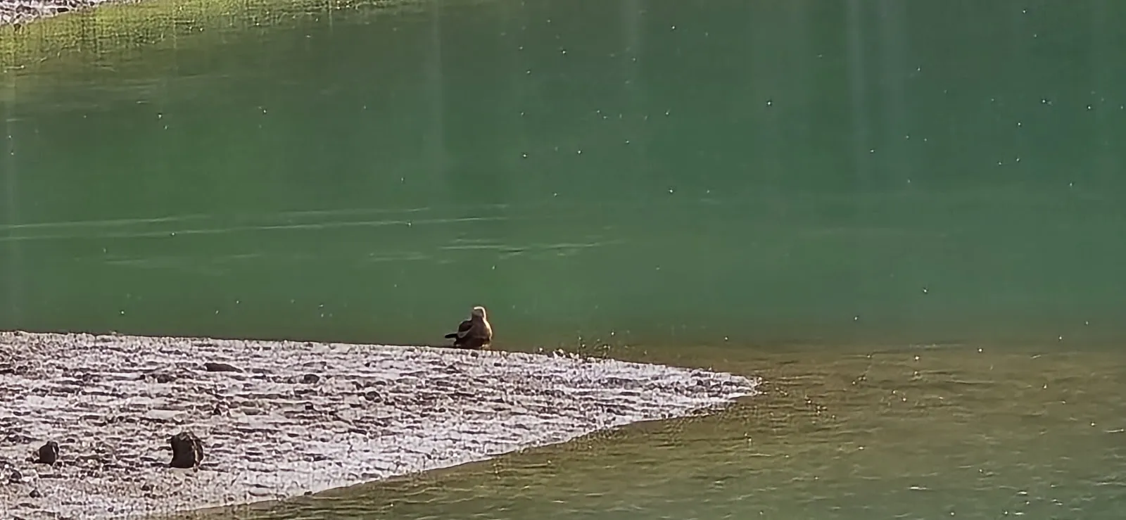 Вид на озеро Глемс с зелеными берегами, Германия