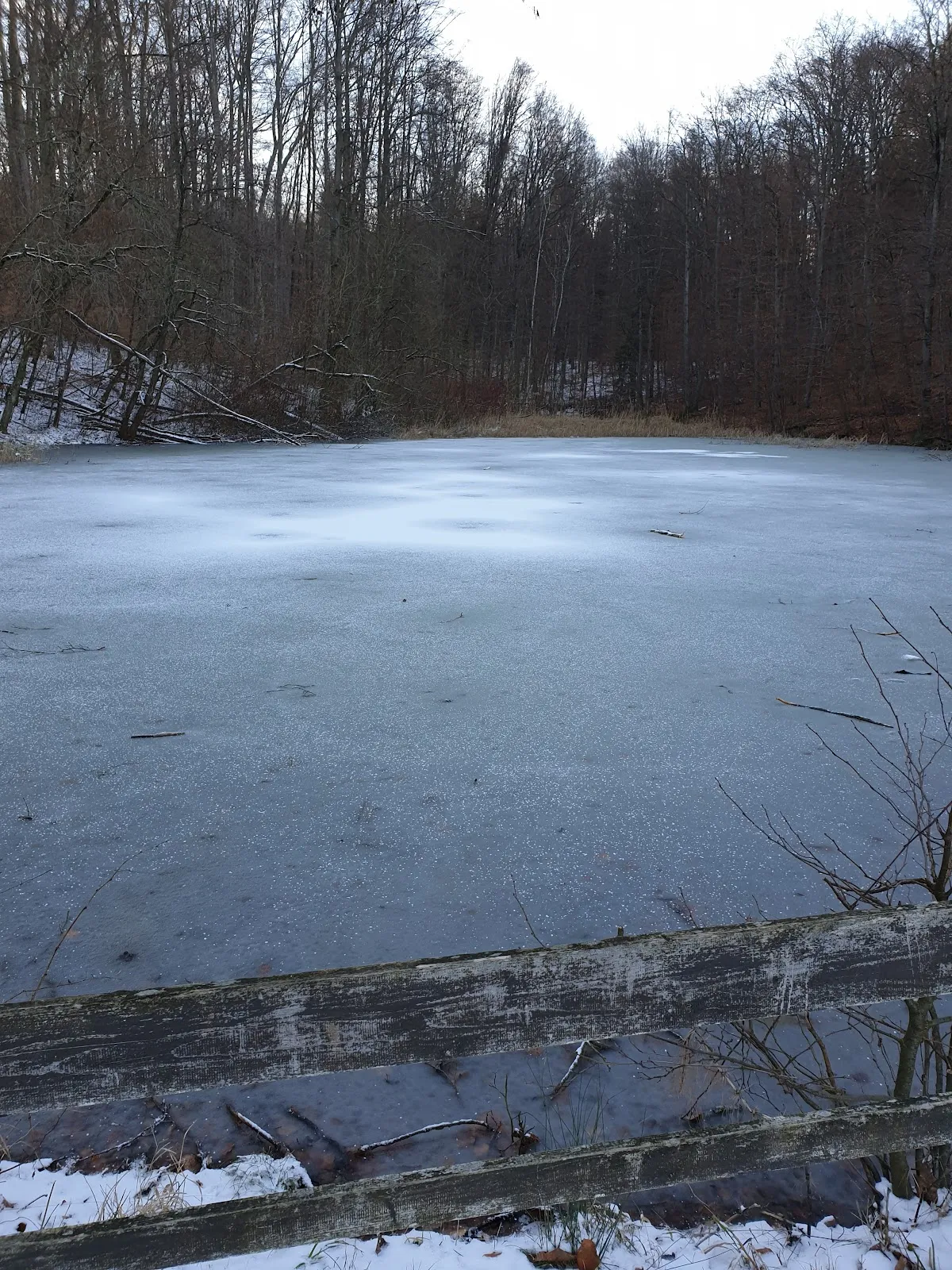 Вид на озеро Глемс с зелеными берегами, Германия
