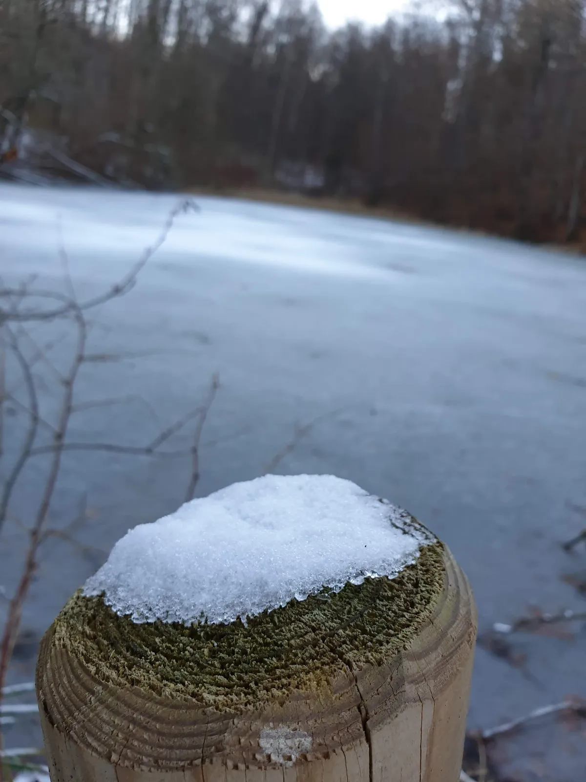 Вид на озеро Глемс с зелеными берегами, Германия