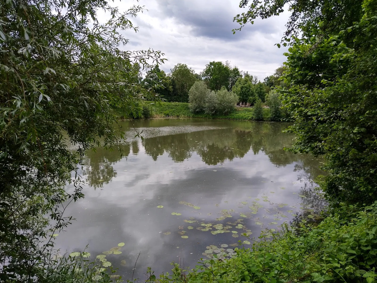 Вид на озеро Хюттензее с берегом и деревьями