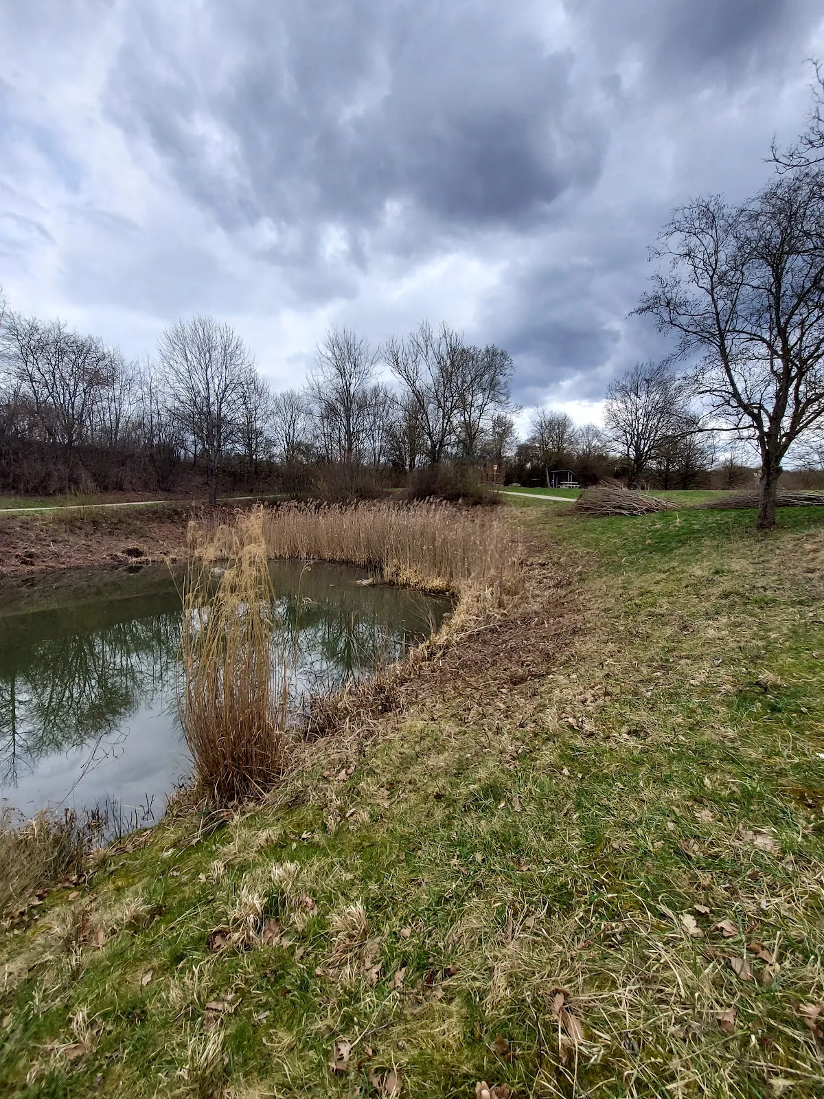 Вид на озеро Хюттензее с берегом и деревьями