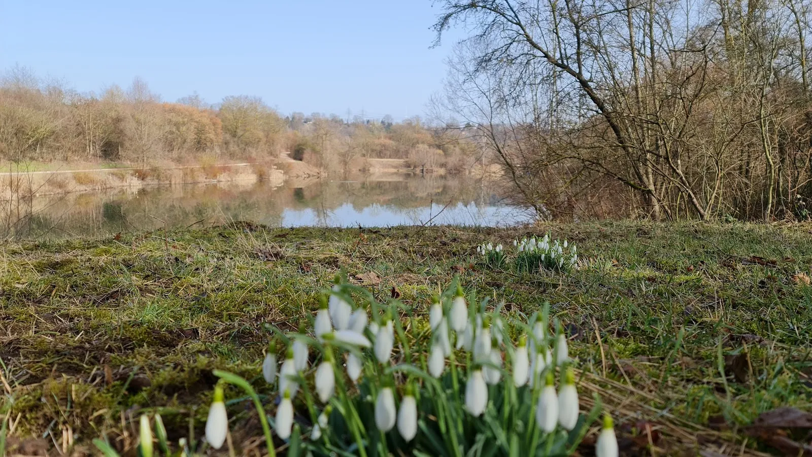 Вид на озеро Хюттензее с берегом и деревьями