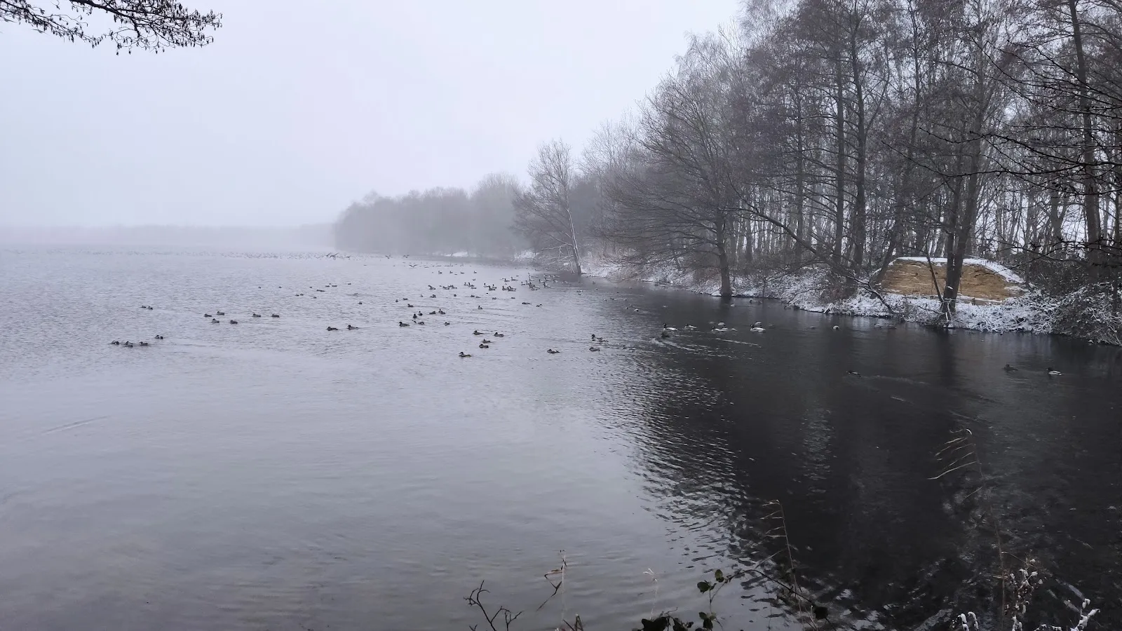 Вид на озеро Куграбензее с зелеными берегами