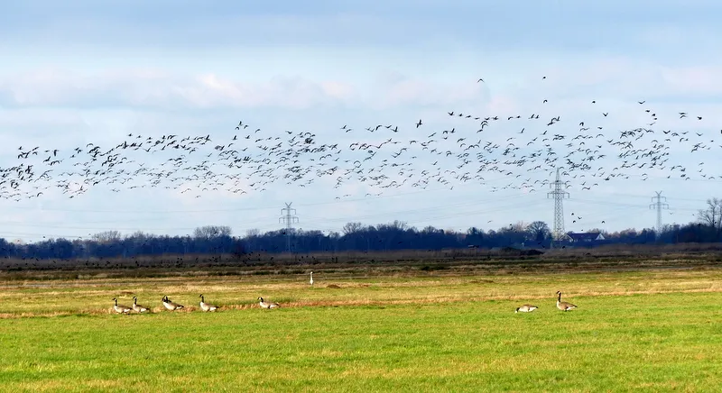 Вид на озеро Куграбензее с зелеными берегами