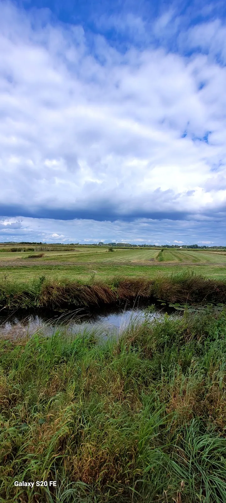 Вид на озеро Куграбензее с зелеными берегами