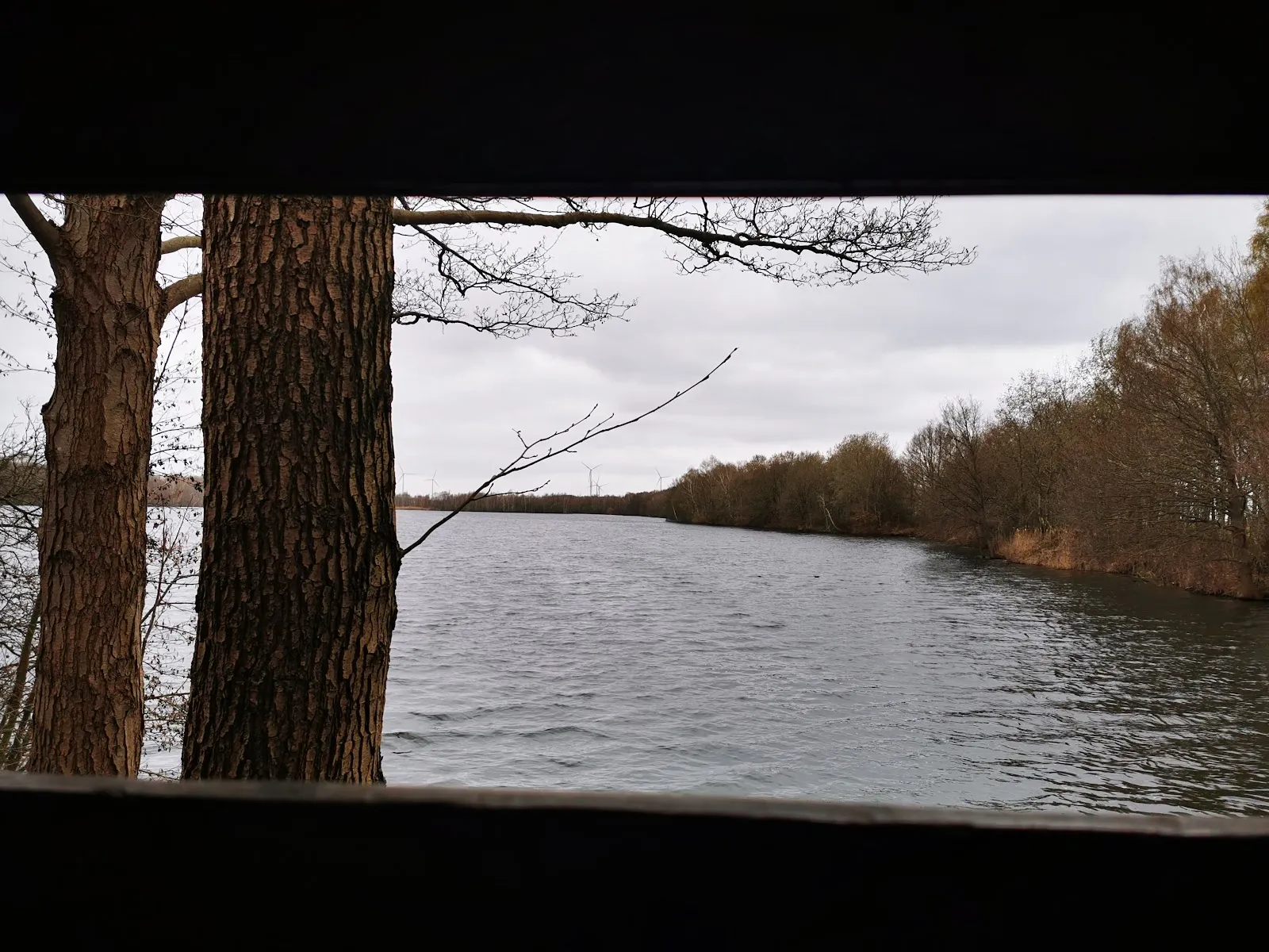 Вид на озеро Куграбензее с зелеными берегами