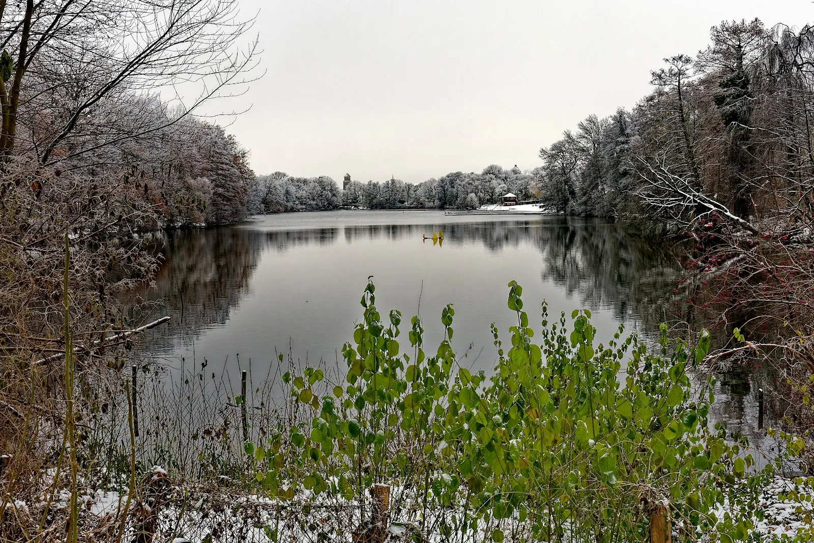 Вид на озеро Плётцензее с деревьями и зеленью на берегу