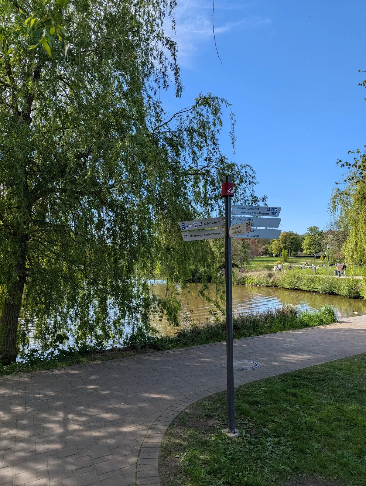 Вид на озеро Шарлоттен в Германии, окруженное зеленью.