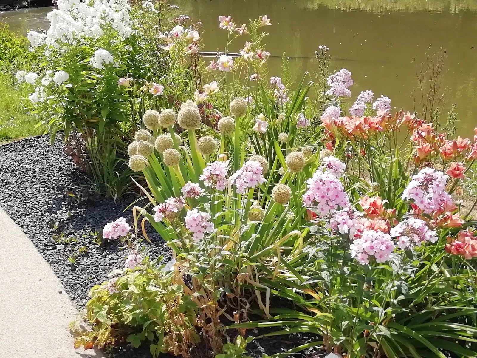 Вид на озеро Шарлоттен в Германии, окруженное зеленью.