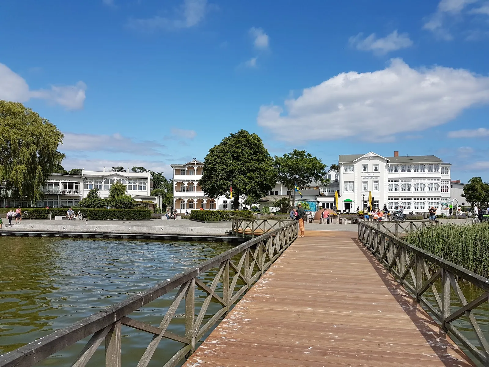 Вид на озеро Шмахтер и Фажерин с птицами