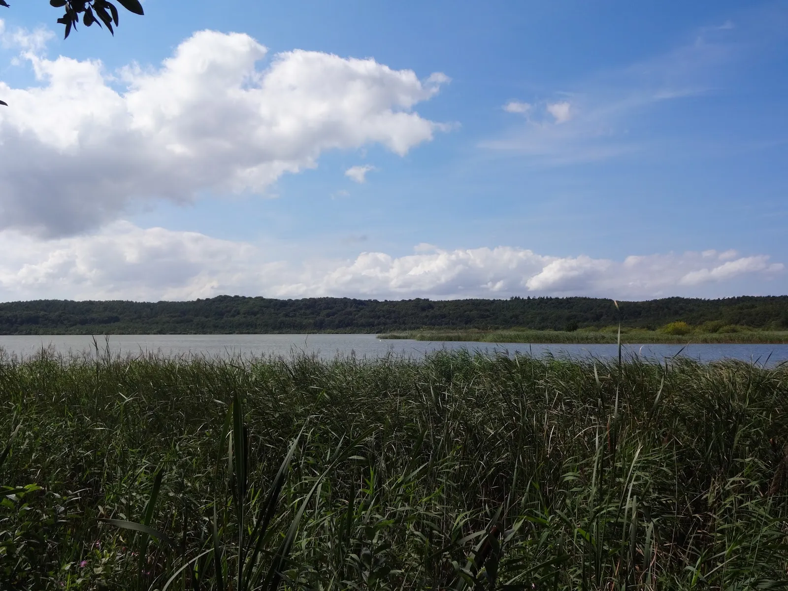 Вид на озеро Шмахтер и Фажерин с птицами
