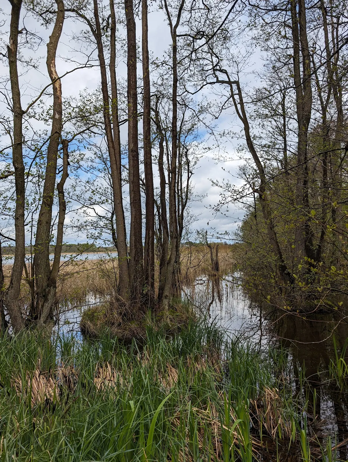Вид на озеро Шмахтер и Фажерин с птицами
