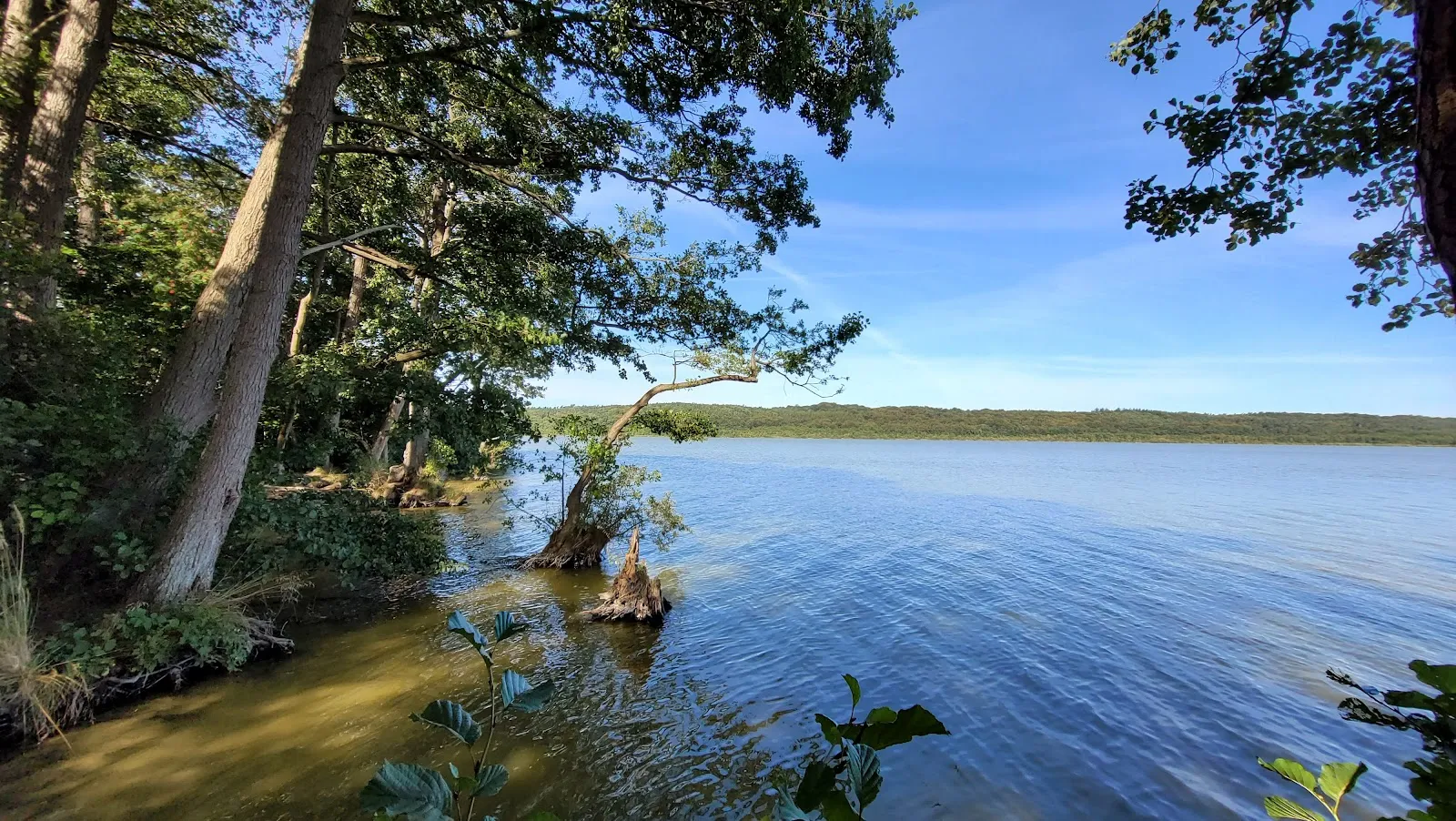 Вид на озеро Шмахтер и Фажерин с птицами