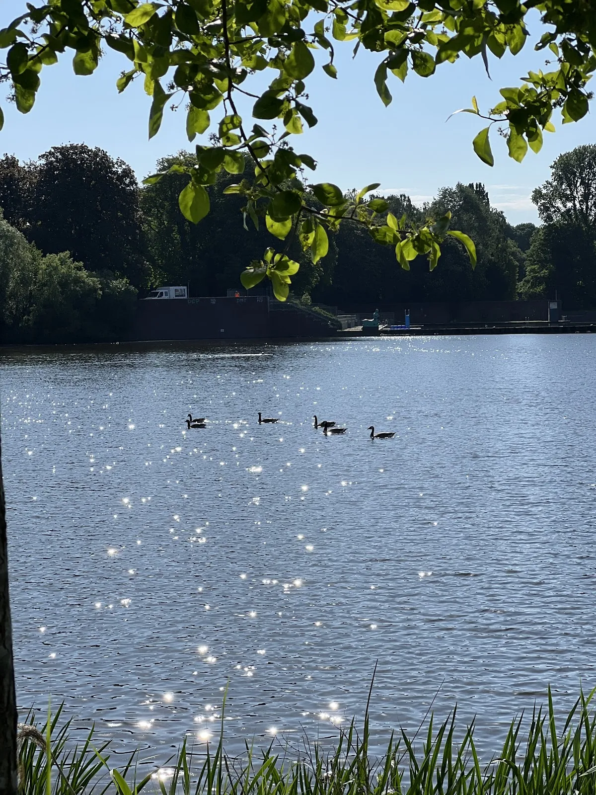 Озеро Штадтпарк