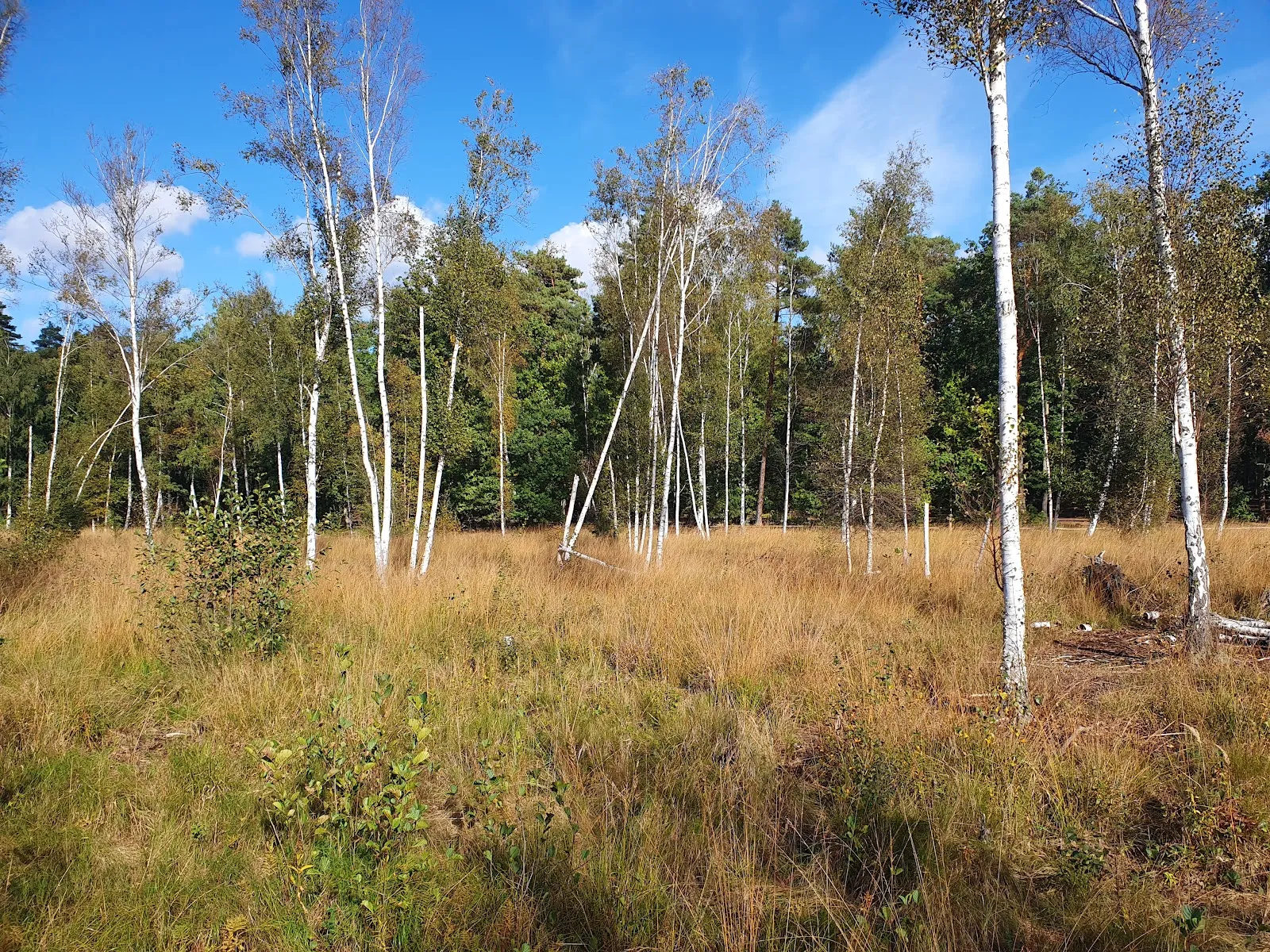 Озеро Тойфельс