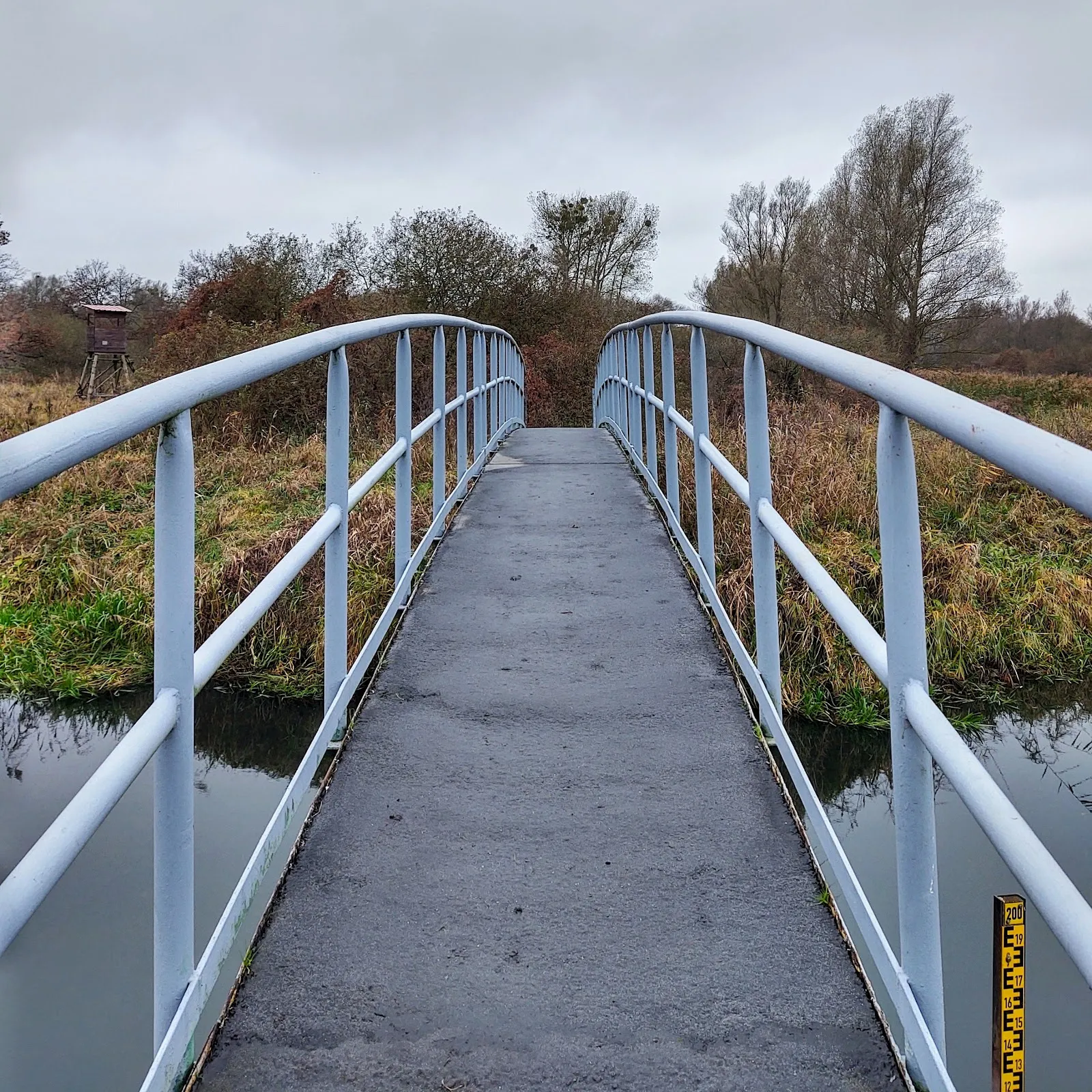 Озеро Толлензе