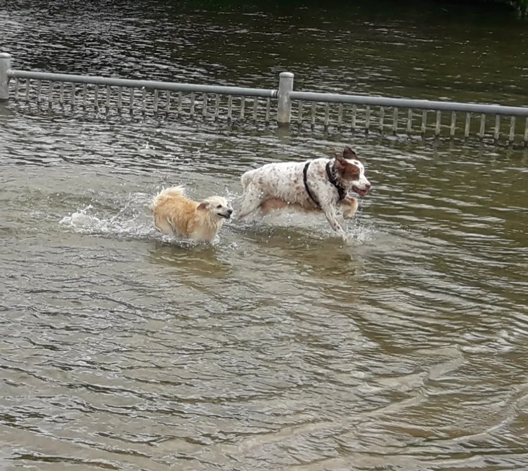 Вид на озеро Валлер-Фельдмарк с зелеными берегами и водной гладью.