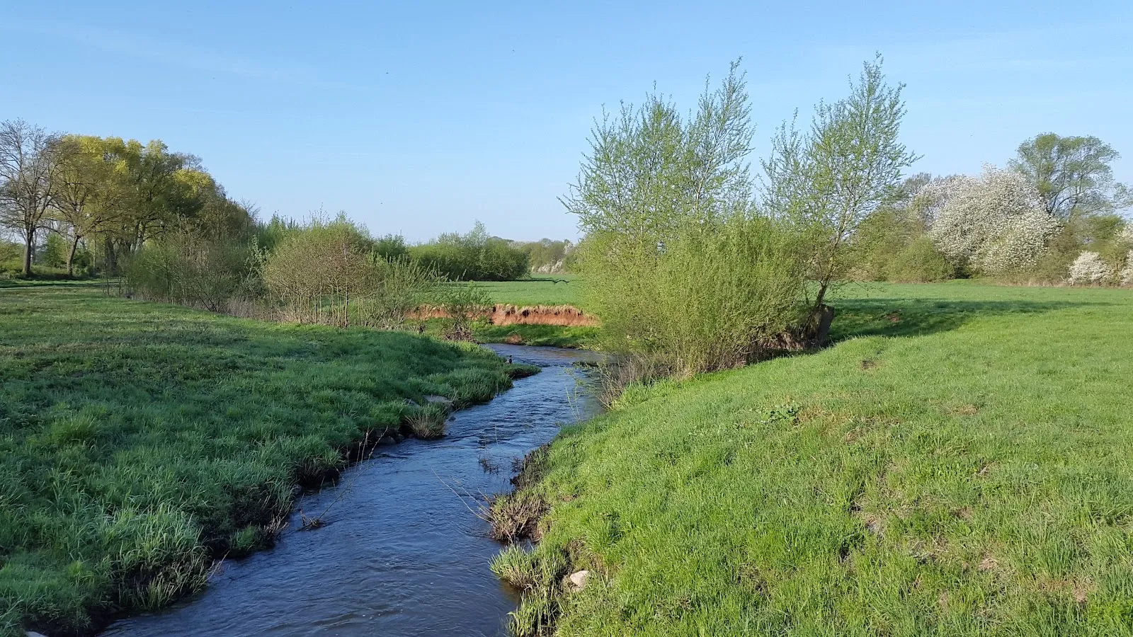 Вид на озеро Вора-Зандфанг с зеленью по берегам