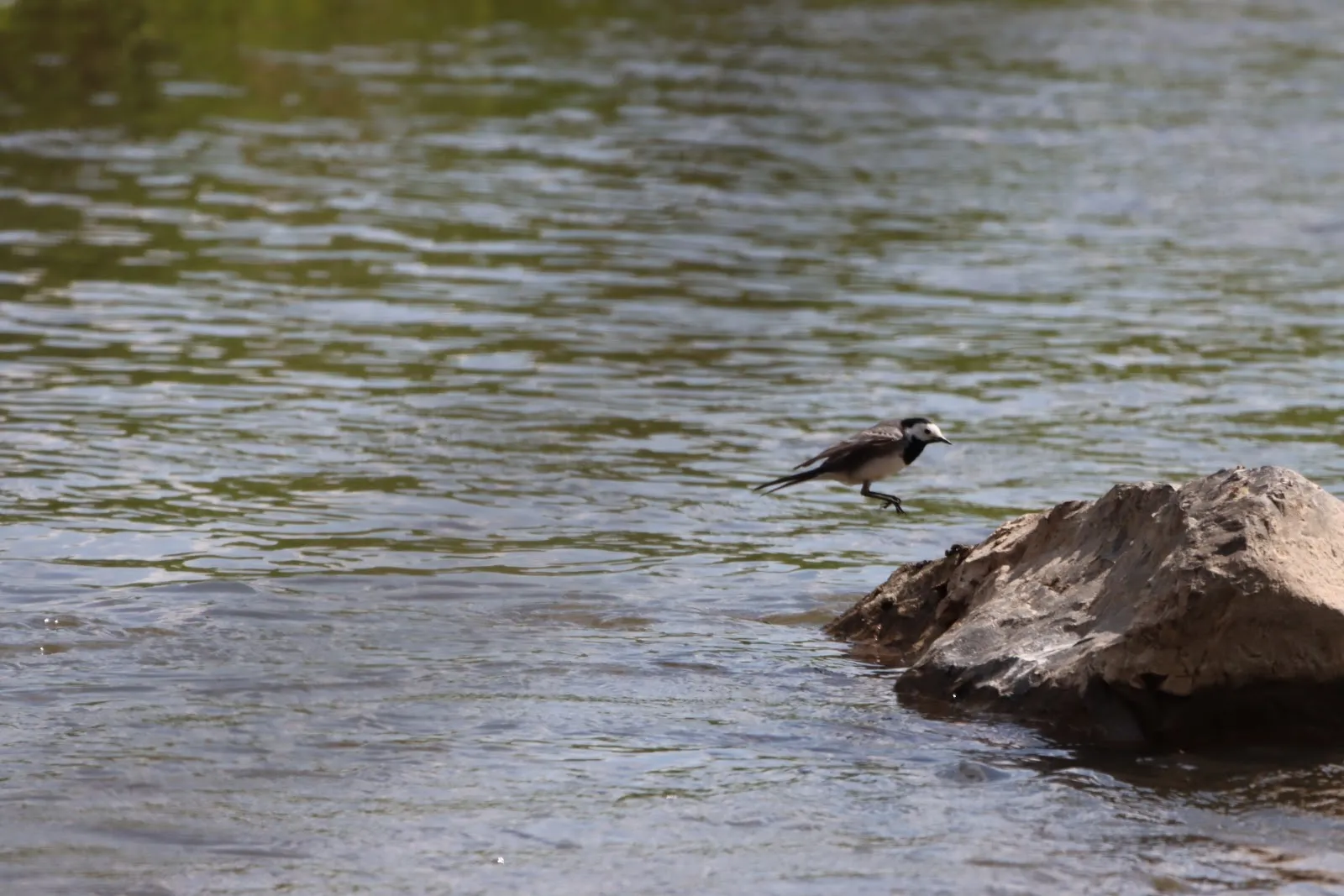 Вид на озеро Вора-Зандфанг с зеленью по берегам