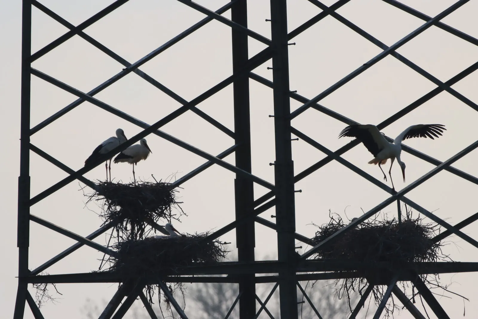 Вид на озеро Вора-Зандфанг с зеленью по берегам