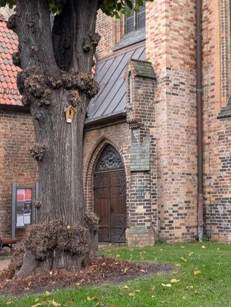 Памятник фельдмаршалу Блюхеру в центре Берлина